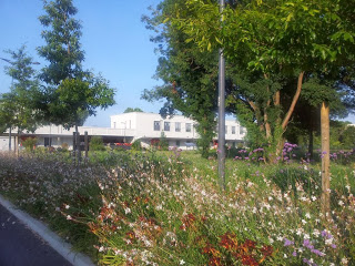 Office garden photo